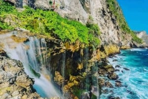 Bali: Nusa Penida Private Tour with Lunch and Driver