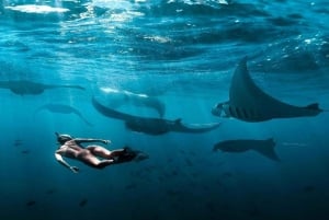 Bali: Nusa Penida Snorkeling Adventure i wycieczka po wyspie