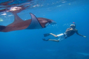 Bali: Nusa Penida Snorkeling Adventure i wycieczka po wyspie