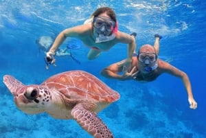 Bali: Nusa Penida Snorkeling Adventure i wycieczka po wyspie