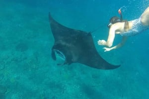 Bali: Nusa Penida Snorkeling Adventure i wycieczka po wyspie