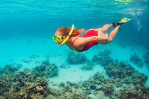 Bali: Nusa Penida Snorkeling Adventure i wycieczka po wyspie
