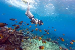 Bali: Nusa Penida Snorkeling Adventure i wycieczka po wyspie