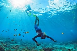 Bali: Nusa Penida Snorkeling Adventure i wycieczka po wyspie