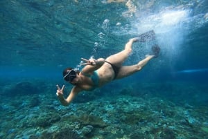 From Bali : Snorkeling & Nusa Penida Island Tour with Lunch
