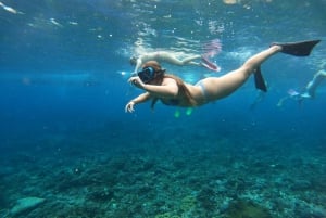 From Bali : Snorkeling & Nusa Penida Island Tour with Lunch