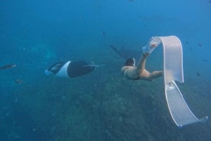 From Bali : Snorkeling & Nusa Penida Island Tour with Lunch