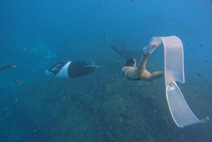 From Bali : Snorkeling & Nusa Penida Island Tour with Lunch