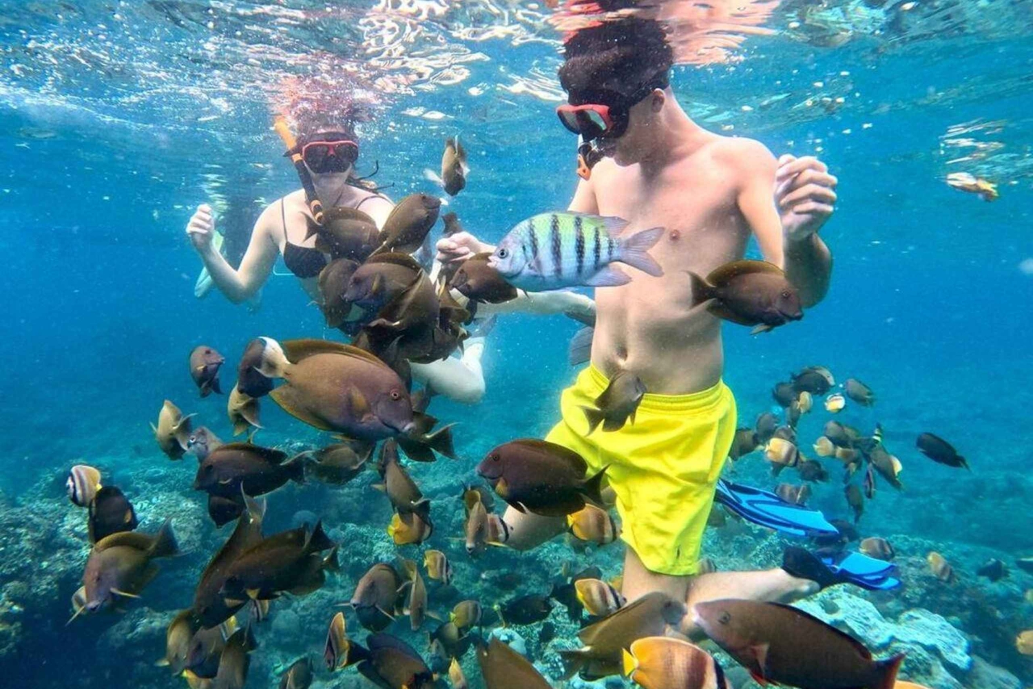 Bali: Snorkling och ö-tur på Nusa Penida med lunch