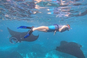 Bali: Snorkling och ö-tur på Nusa Penida med lunch