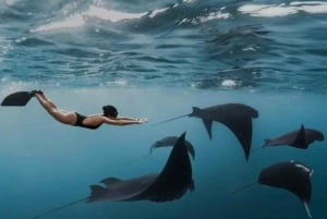 Bali: Snorkling och ö-tur på Nusa Penida med lunch