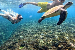 Bali: Snorkling och ö-tur på Nusa Penida med lunch