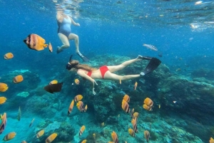 Bali: Snorkling och ö-tur på Nusa Penida med lunch