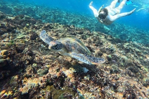 Bali: Snorkling och ö-tur på Nusa Penida med lunch