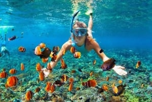 Bali: Nusa Penida Snorkeling i Kelingking Beach Tour