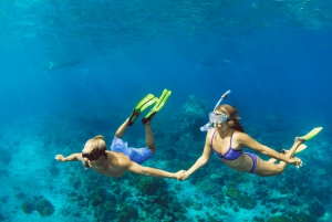 Bali/Nusa Penida: Snorkeling Manta Point & West Coast Tour