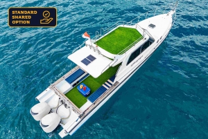 Bali: Nusa Penida met privéjacht, mantaroggen, landtour
