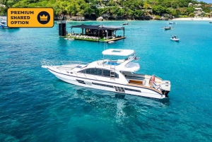 Bali: Nusa Penida met privéjacht, mantaroggen, landtour
