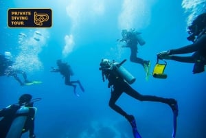 Bali: Gita in motoscafo a Nusa Penida con tour e snorkeling