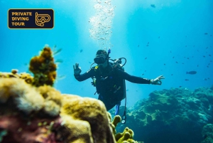 Bali: Nusa Penida met privéjacht, mantaroggen, landtour