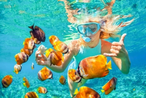 Bali: Padangbai Blue Lagoon Snorkeling Day Trip