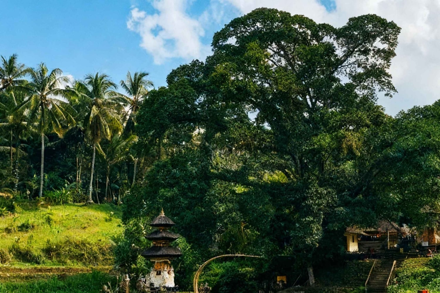 Bali: Pancoran Solas Temple, Taman Ayun & Rice Terraces