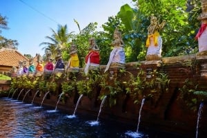 Bali: Pancoran Solas Temple, Taman Ayun & Rice Terraces