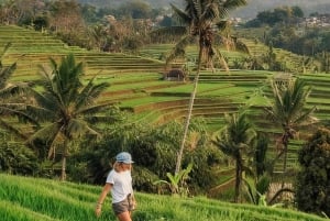 Bali: Pancoran Solas Temple, Taman Ayun & Rice Terraces