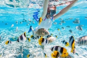 Bali: Paragliding ved Timbis Beach og pakker med vandsport