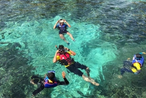 Bali: Paragliding ved Timbis Beach og pakker med vandsport