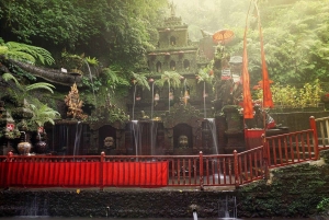 Bali: Pecampuhan Sala, Gunung Kawi & Coffee Tour