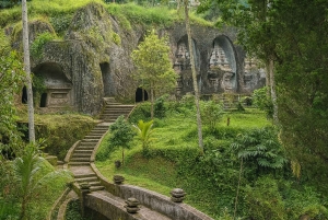 Bali: Pecampuhan Sala, Gunung Kawi & Coffee Tour