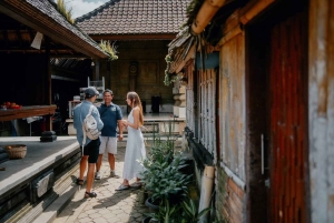 Bali: Penglipuran Temple, Waterfalls and bamboo village Tour