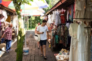 Bali: Penglipuran Temple, Waterfalls and bamboo village Tour