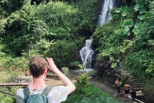 Bali: Penglipuran Temple, Waterfalls and bamboo village Tour