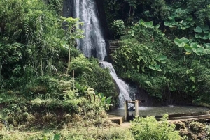 Bali: Penglipuran Temple, Waterfalls and bamboo village Tour