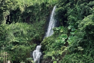 Bali: Penglipuran Temple, Waterfalls and bamboo village Tour