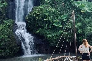 Bali: Penglipuran Temple, Waterfalls and bamboo village Tour