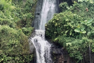 Bali: Penglipuran Temple, Waterfalls and bamboo village Tour