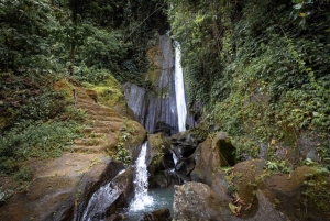 Bali: Penglipuran Temple, Waterfalls and bamboo village Tour