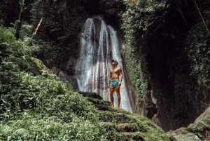 Bali: Penglipuran Temple, Waterfalls and bamboo village Tour