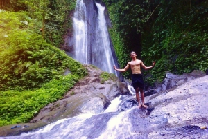 Bali: Penglipuran Temple, Waterfalls and bamboo village Tour