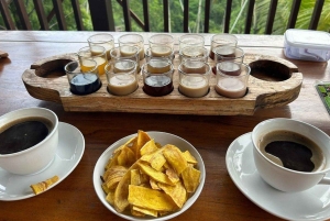 Bali: Penglipuran Temple, Waterfalls and bamboo village Tour