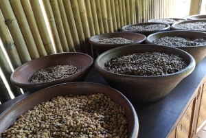 Bali: Penglipuran Temple, Waterfalls and bamboo village Tour