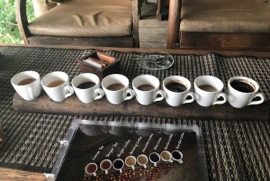 Bali: Penglipuran Temple, Waterfalls and bamboo village Tour