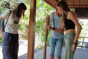 Bali: Penglipuran Temple, Waterfalls and bamboo village Tour