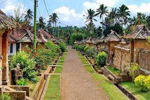 Bali: Penglipuran Village combined Sacred Bali Temple Tour