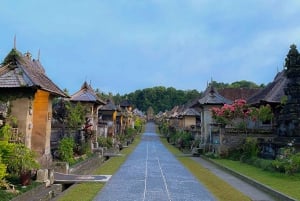 Bali: Penglipuran Village, Rice Terrace & Waterfall Tour: Penglipuran Village, Rice Terrace & Waterfall Tour