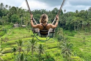 Bali: Penglipuran Village, Rice Terrace & Waterfall Tour: Penglipuran Village, Rice Terrace & Waterfall Tour