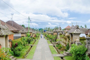 Bali: Penglipuran Village, Tirta Empul & Ubud All Incusive